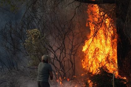 Incendii violente izbucnesc în Izmir, Turcia: 77 de focare în 24 de ore și peste 50.000 de persoane evacuate