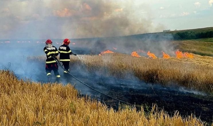 Incendii devastatoare în Argeș: sute de pomi fructiferi, patru autovehicule și numeroase anexe gospodărești distruse