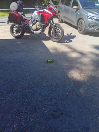 Tragedie pe Transfăgărășan: Un motociclist ucis de urs sălbatic