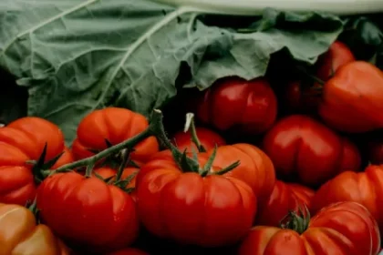 Trucul simplu care îți dublează culturile de roșii folosind doar 2 ingrediente banale