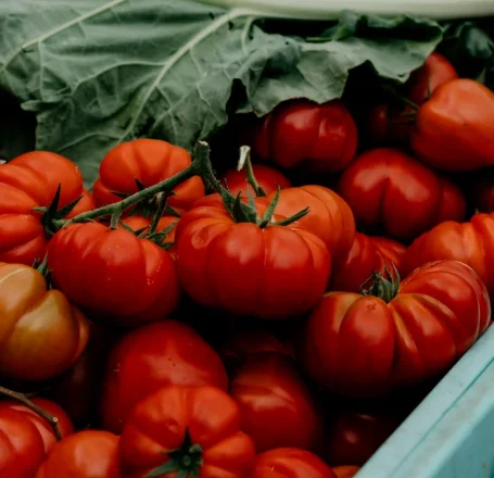 Trucul simplu care îți dublează culturile de roșii folosind doar 2 ingrediente banale