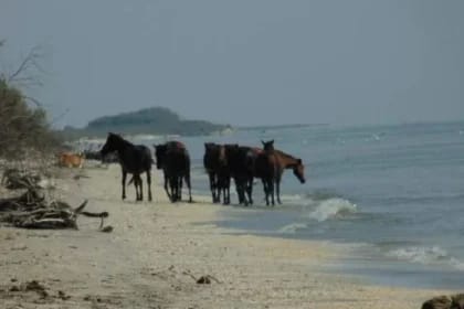 Descoperă plajele secrete din România care te duc cu gândul la paradisul Greciei!