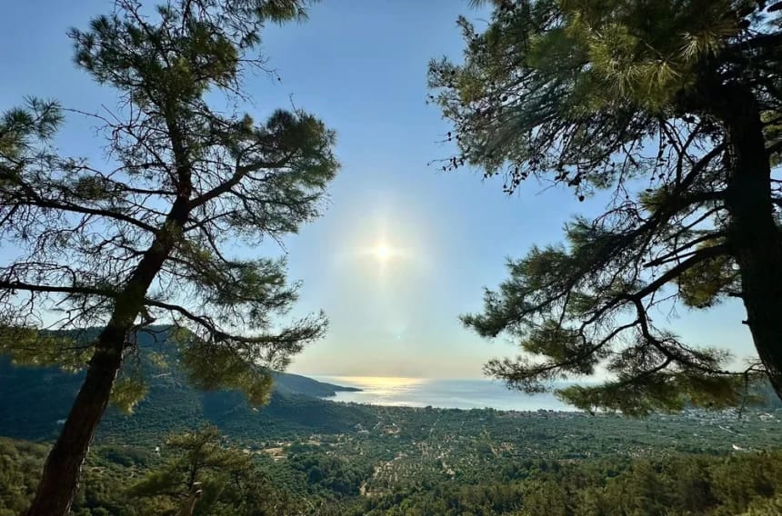 Cât costă o vacanță ideală în Thassos pentru familie cu copil și cățel: ghid complet și recomandări testate Cât costă o vacanță ideală în Thassos pentru familie cu copil și cățel: ghid complet și recomandări testate