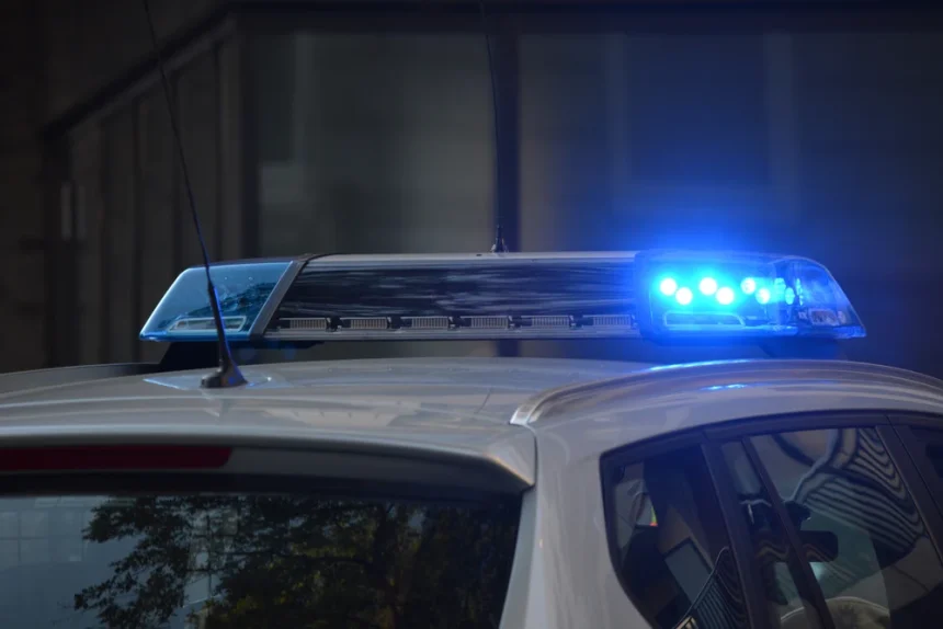 Gravidă în travaliu, dusă de polițiști la spital. Mesaj emoționant al tatălui recunoscător Gravidă în travaliu, dusă de polițiști la spital. Mesaj emoționant al tatălui recunoscător