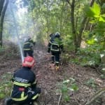 Pompierii înfruntă 16 incendii devastatoare în șase județe: peste 1.000 de hectare mistuite de flăcări