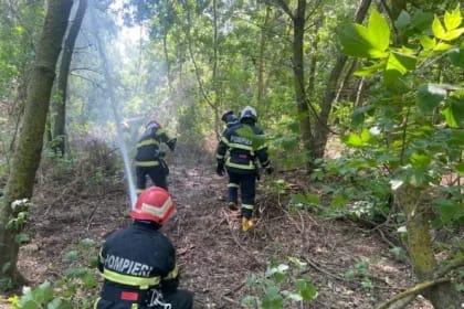 Pompierii înfruntă 16 incendii devastatoare în șase județe: peste 1.000 de hectare mistuite de flăcări