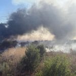 Incendiu violent de vegetație în Ilfov amenință casele: persoanele din zonă sunt evacuate de urgență