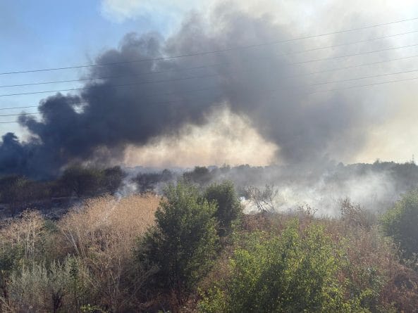 Incendiu violent de vegetație în Ilfov amenință casele: persoanele din zonă sunt evacuate de urgență