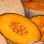 Tânărul român care a revoluționat agricultura: a renunțat la Germania pentru pepeni cu gust surprinzător de pară