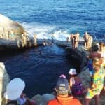 Grecii și nemulțumirile față de români: turiștii surprind o realitate neașteptată „Doar la noi e invers