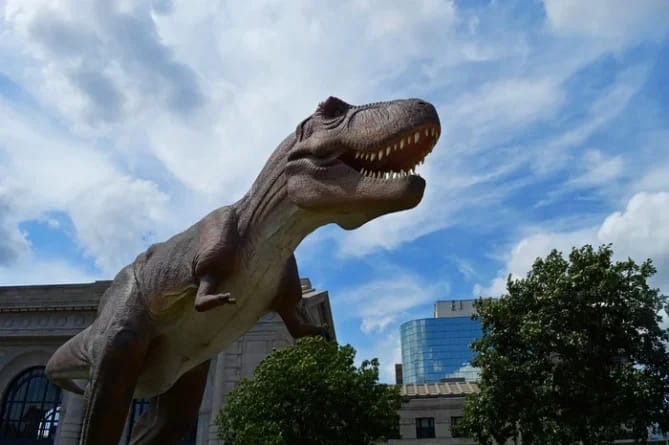 11 animale surprinzătoare care au trăit alături de dinozauri și încă există astăzi: secretul supraviețuirii lor