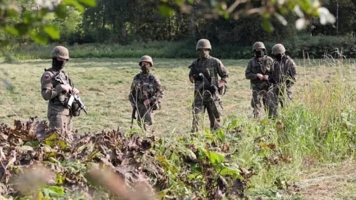 Polonia intensifică mobilizarea rezerviștilor în apărarea teritorială după atacul dronelor rusești Polonia intensifică mobilizarea rezerviștilor în apărarea teritorială după atacul dronelor rusești