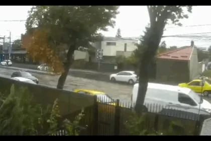 Un copac doboară o mașină în trafic în Capitală, incidentul surprinde urgentă și periculoasă situație