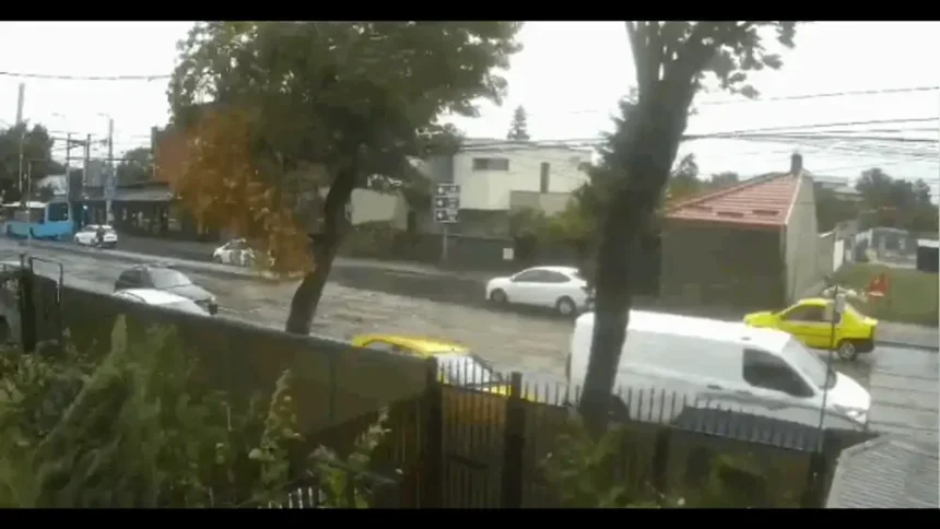 Un copac doboară o mașină în trafic în Capitală, incidentul surprinde urgentă și periculoasă situație