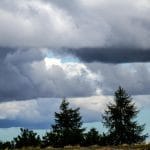 Trei zile de iarnă severă: când se întorc ploaia, ninsorile și temperaturile scăzute, anunțul șefei ANM despre vremea blândă