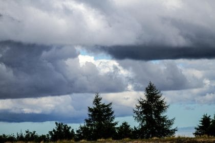 Trei zile de iarnă severă: când se întorc ploaia, ninsorile și temperaturile scăzute, anunțul șefei ANM despre vremea blândă