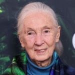 Jane Goodall și-a exprimat dorința de a trimite în spațiu lideri precum Trump, Musk, Putin, Xi și Netanyahu ([digi24.ro](https://www.digi24.ro/stiri/externe/jane-goodall-i-as-trimite-pe-trump-musk-putin-xi-si-netanyahu-in-spatiu-intr-o-calatorie-fara-into