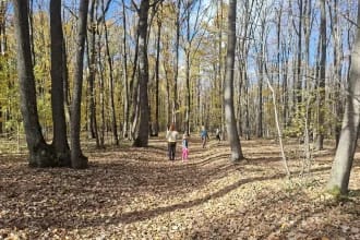 Aromaterapie naturală în inima pădurii. Locul din România unde natura devine lecție și leac