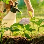 Obiceiul surprinzător ce îți poate prelungi viața. Majoritatea oamenilor îl evită