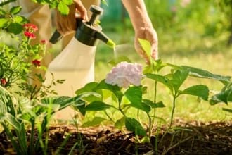 Obiceiul surprinzător ce îți poate prelungi viața. Majoritatea oamenilor îl evită