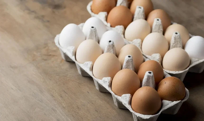 Motivul pentru care un fermier din Călărași refuză ofertele de a trimite ouă la export