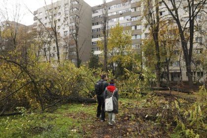 Lucian Judele: Tăierile ilegale din zona Parcului IOR par întâmplări desprinse dintr-un film cu mafia din anii ’60–’70
