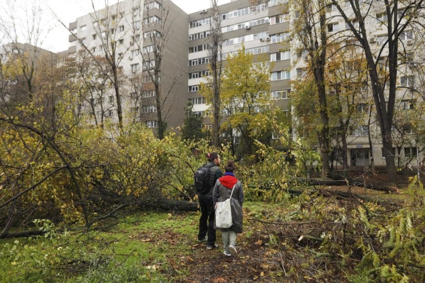 Lucian Judele: Tăierile ilegale din Parcul IOR par opera mafiei din anii '60-'70 Lucian Judele: Tăierile ilegale din zona Parcului IOR par întâmplări desprinse dintr-un film cu mafia din anii ’60–’70