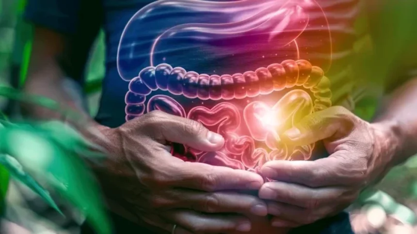 Tranzitul intestinal îți influențează sănătatea mai mult decât crezi - ce ascunde viteza digestiei Cât de repede „lucrează” intestinul tău? Ritmul tranzitului poate influența sănătatea mai mult decât crezi