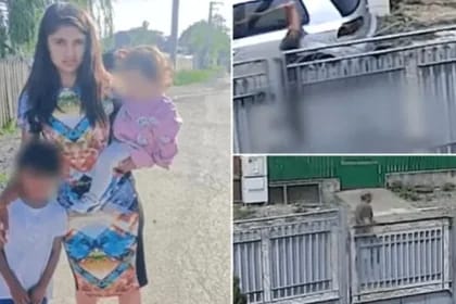 Închisoare pe viață pentru bărbatul care și-a ucis cu toporul partenera însărcinată, în fața copiilor