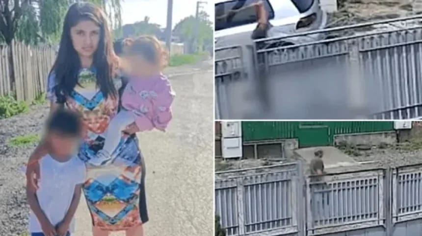 Închisoare pe viață pentru bărbatul care și-a ucis cu toporul partenera însărcinată, în fața copiilor