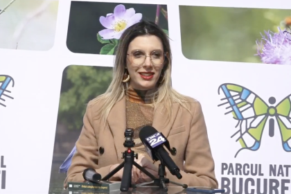 Diana Buzoianu: Pădurea Băneasa poate fi parc natural, arie protejată. Când vom avea documentele, Ministerul Mediului va face acest pas
