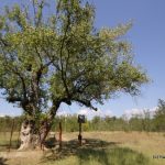 Locurile uitate unde românii căutau miracole. Atrăgeau mii de oameni în trecut, datorită unor întâmplări stranii