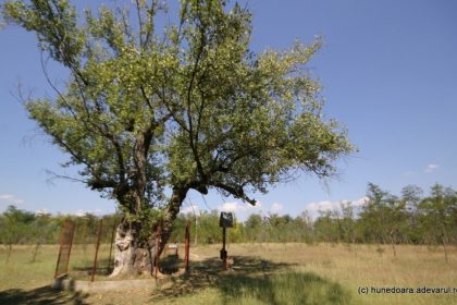 Locurile uitate unde românii căutau miracole. Atrăgeau mii de oameni în trecut, datorită unor întâmplări stranii