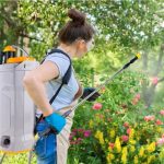 Cea mai bună pompă de stropit electrică 2026: cum alegi corect + Top 5 modele și Bonus – evită greșelile costisitoare
