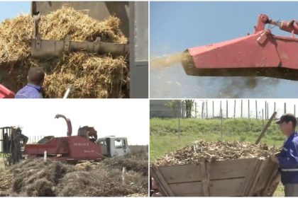 Comuna care transformă resturile vegetale din gospodării în îngrășământ natural. Localnicii fac rând la utilajul cumpărat de primărie