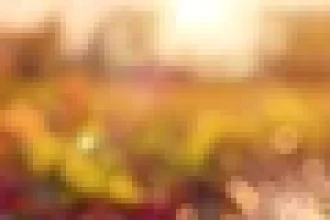 Cum poți avea un gazon mai frumos ca oricând în trei pași simpli: „Iarba ta nu a arătat niciodată mai bine”