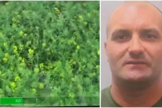 Imaginile din elicopter cu presupusul criminal al elevei de 18 ani din Parhida. A fost prins după ore de căutări