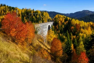 Viaductul care ascunde o poveste dramatică. Aruncat în aer de două ori, a fost reconstruit printre ruine și frig