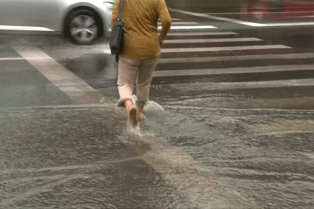Efecte ale vremii nefavorabile în 10 județe și București: zeci de intervenții ale pompierilor pentru inundații și copaci căzuți
