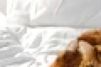 Cum să pregătești cartofi copți crocanți și aromați în doar câteva minute. Trucul simplu pe care trebuie să-l faci înainte de a-i pune la cuptor