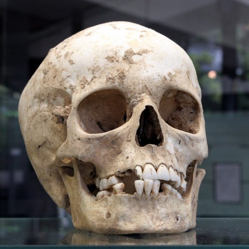Ritual șocant din ținuturile cețurilor: cum o femeie a devenit obiect de cult după o mutilare post-mortem Obiceiul șocant al oamenilor din ținuturile cețurilor. Femeia venerată după moarte cu creier scos și oase cioplite