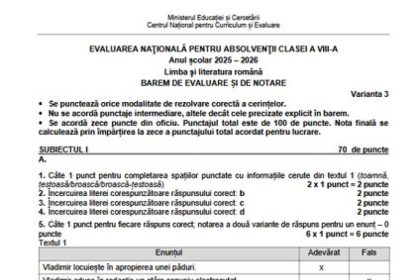 Evaluarea Națională 2026: Baremele și subiectele la Limba română, publicate de Ministerul Educației