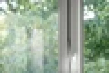 Imagini rare cu dugongul din Marea Roșie! O româncă aflată în vacanță a surprins mamiferul pe cale de dispariție