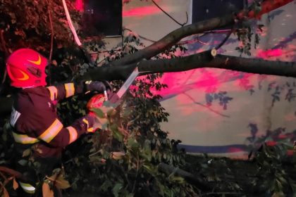 Furtunile au provocat pagube în nouă localităţi din şase judeţe. 20 de copaci căzuţi, 40 de maşini avariate