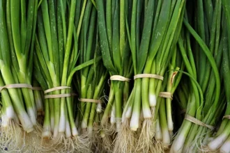 Cum păstrezi ceapa verde proaspătă mai mult timp și cum o poți regenera acasă. Trucurile simple care te ajută să economisești bani