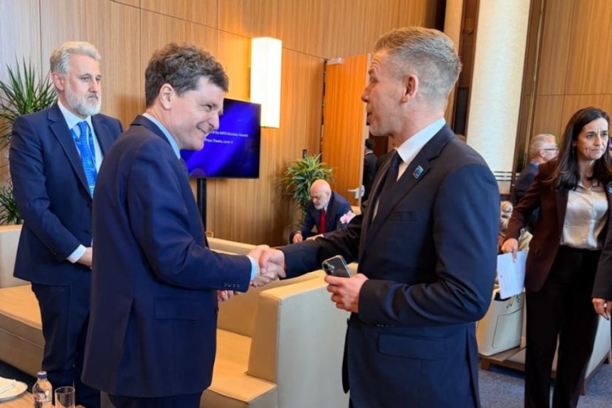 Întâlnire surpriză între Nicușor Dan și premierul ungar Péter Magyar după summitul NATO Președintele Nicușor Dan, întâlnire cu premierul ungar Péter Magyar după summitul NATO