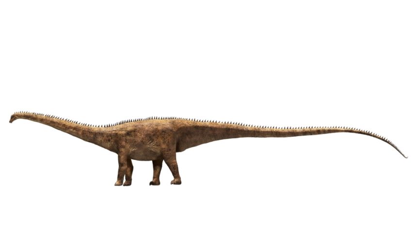 O singură vertebră dezvăluie existența unui dinozaur uriaș până acum necunoscut O nouă specie de dinozaur uriaș a fost descoperită pornind de la o singură vertebră