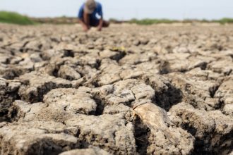 Avertismente sumbre ale experților despre „super El Nino”: fenomenul ar putea crește prețurile alimentelor timp de ani de zile