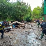Furtunile au provocat pagube în cinci județe și în București. Cele mai mari probleme, în Prahova