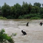 Doi tineri dispăruți în râul Argeș au fost găsiți morți după trei zile de căutări